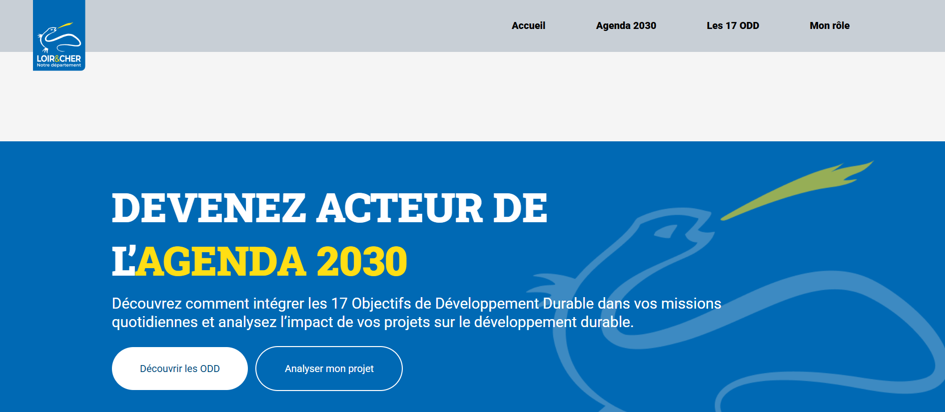 Aperçu Landing page